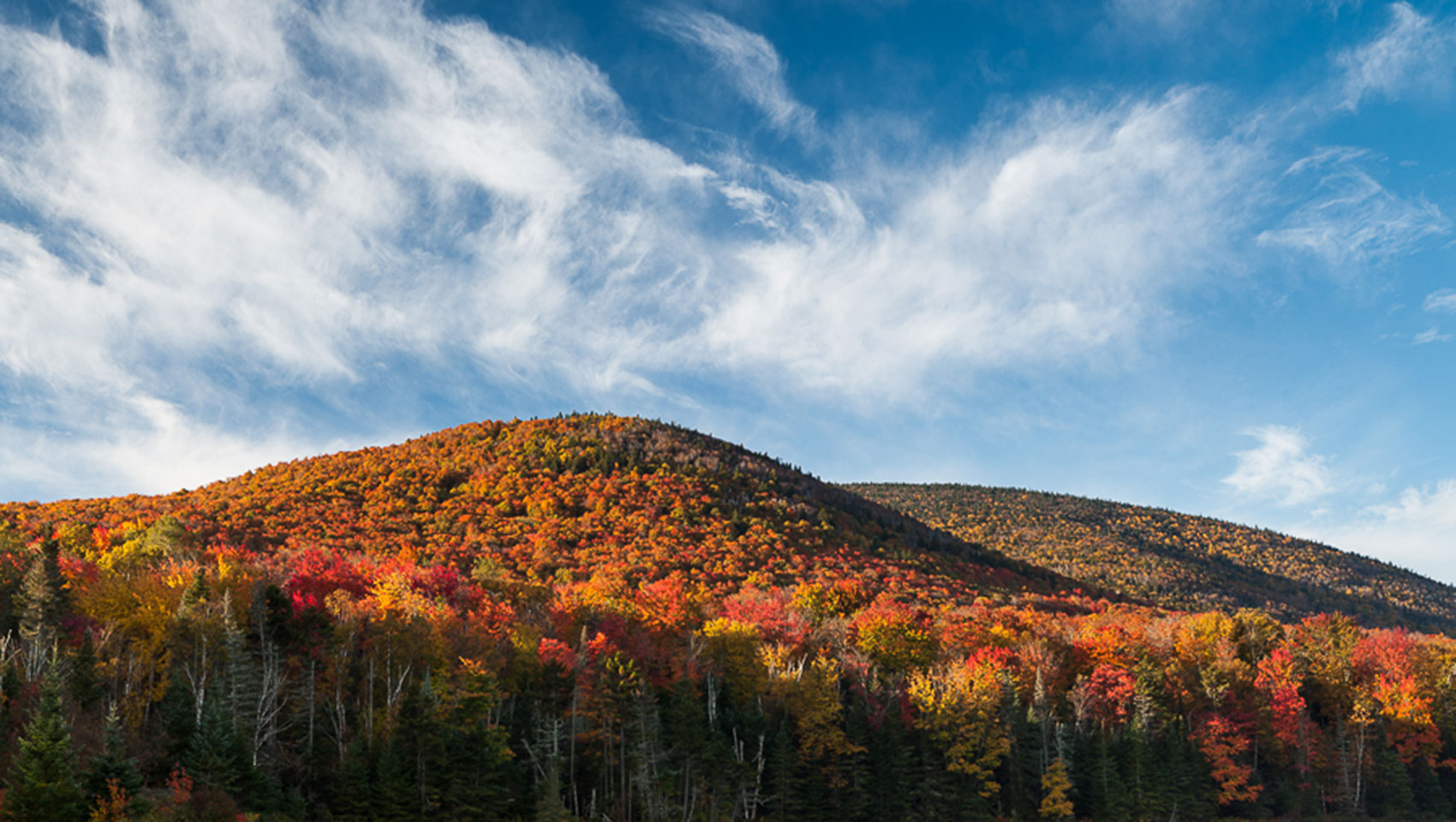 Moutain with trees changing color in Fall