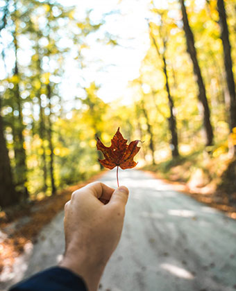 fall season in manchester, vt